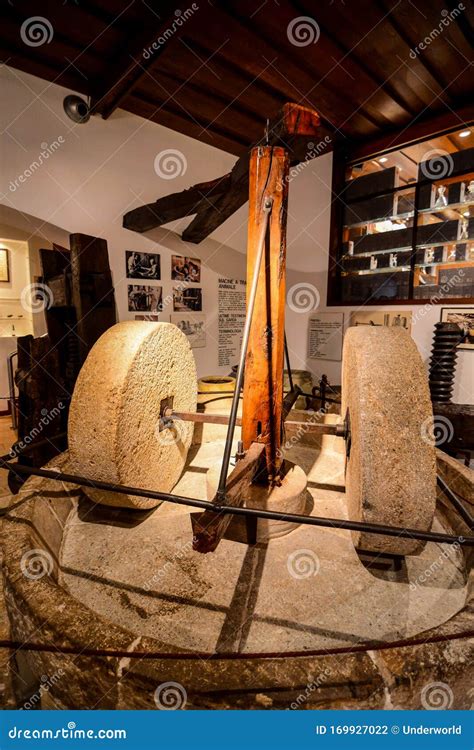 Italian String Instrument 的图像结果