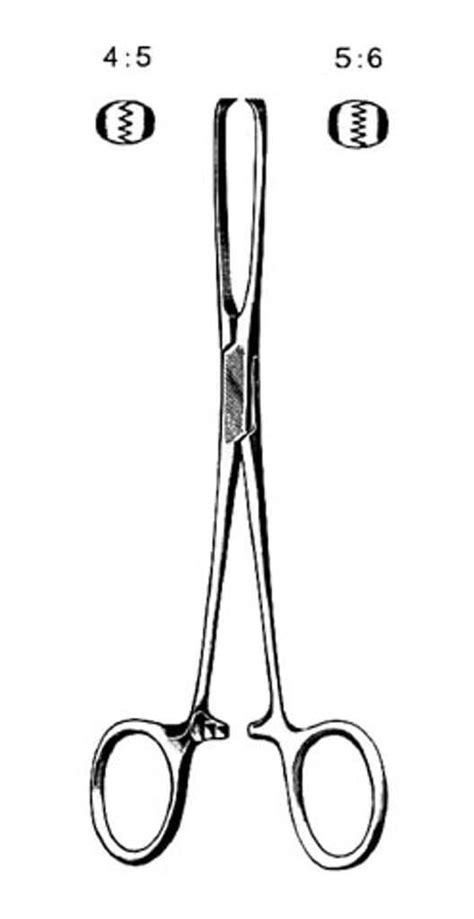 8 Inch 5x6 Teeth Allis Forceps Straight