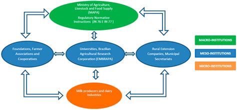 Influence of Meso-Institutions on Milk Supply Chain Performance: A Case ...