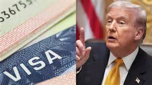 Trump administration pauses Diversity Visa Lottery after Brown ...