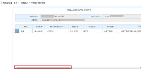 海南省电子税务局报告备案登记操作流程说明_95商服网