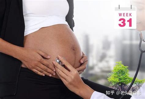 怀孕1-40周完整详细的胎儿发育过程图 - 知乎