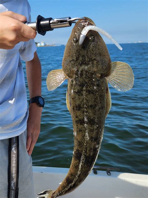 フェロモンナインR 17g 25g | goober