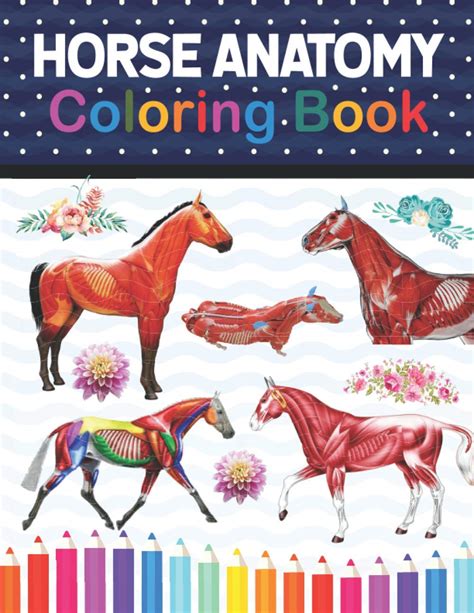 Buy Horse Anatomy Coloring Book: The New Surprising Magnificent ...