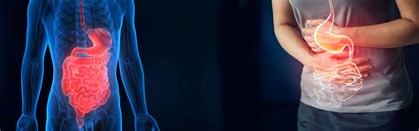 Sindirim Sistemi Hastalıkları ve Rahatsızlıkları