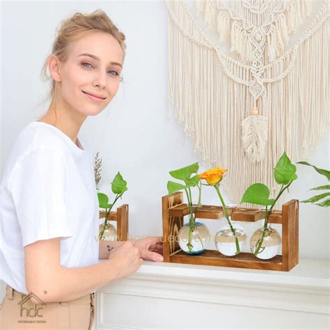 HDC Indoor Propagation Station Wooden Stand With 1 Bulb-Shaped Glass V