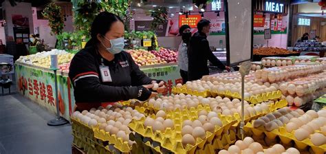 柴鸡蛋和普通鸡蛋区别 —【发财农业网】