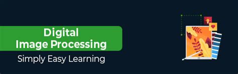 Image Processing Tutorial 的图像结果