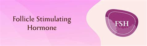 What is Estradiol? Know Estradiol (E2) Levels Test, Uses, Test Results ...