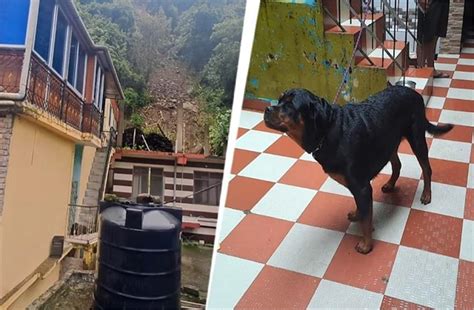 आराम की नींद सो रहा था परिवार, अचानक पहाड़ी से गिरने लगे पत्थर ...