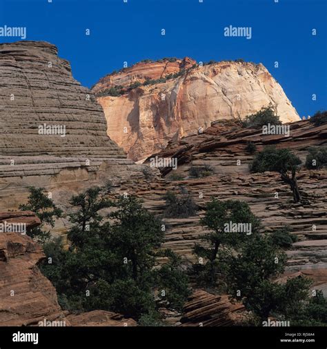 Canyon Overlook Trail, Zion Nationalpark Stock Photo - Alamy