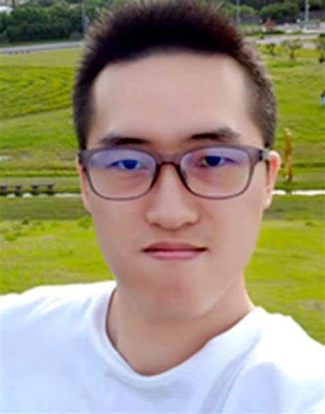 Image result for Comprehensive Timeline Example