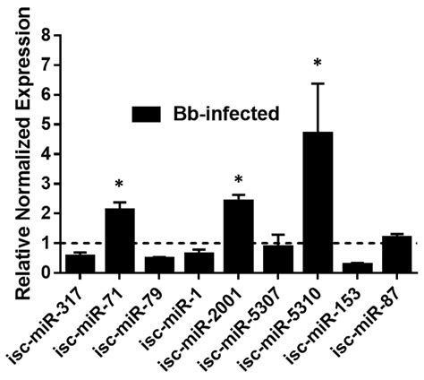 Identification of microRNAs in the Lyme Disease Vector Ixodes scapularis