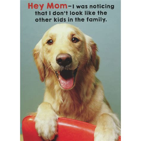 Golden Retriever Doesn't Look Like Other Kids Humorous / Funny Mother's ...