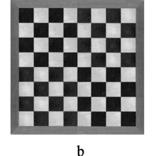 Image result for Bucky Tutorials On JavaScript Download