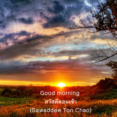 130+ Valentine Good Morning Wishes And Images - Good Morning Wishes