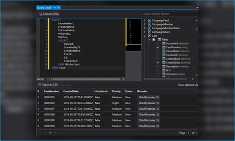 Image result for SOQL Query Using Workbench