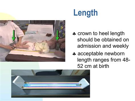 Physical assessment of the neonate | PPT