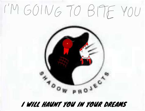 Image result for Shadow Projects Bloopers