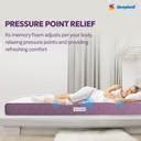 Sleepwell Orthopedic, Anti Microbial, Medium Firm Support 8 inch King ...