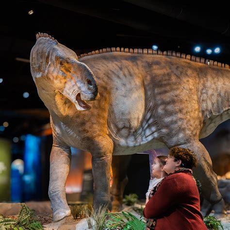 EDELMAN FOSSIL PARK & MUSEUM OF ROWAN UNIVERSITY - All You Need to Know ...