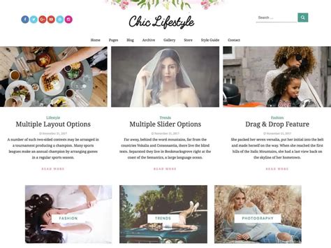 Chic Lite WordPress Theme 的图像结果