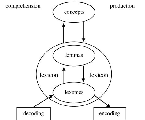 Image result for Lexical Comprehension Examples