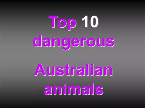 Top 10 australian dangerous animals from 10 to 6 | PPTX