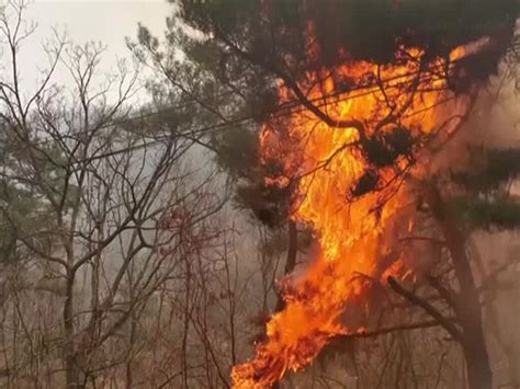 Korea battles multiple wildfires in southeastern region