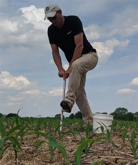 Basic Soil Testing 的图像结果