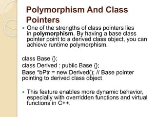Class Pointer 的图像结果