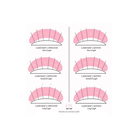 Lash Extension Diagram at Juliet Ford blog