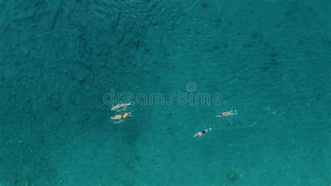Swim in Sea 的图像结果
