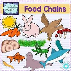 Food Chain Clipart by Food Chain Animals Clipart By S Clipart Tpt Food Chain Clipart