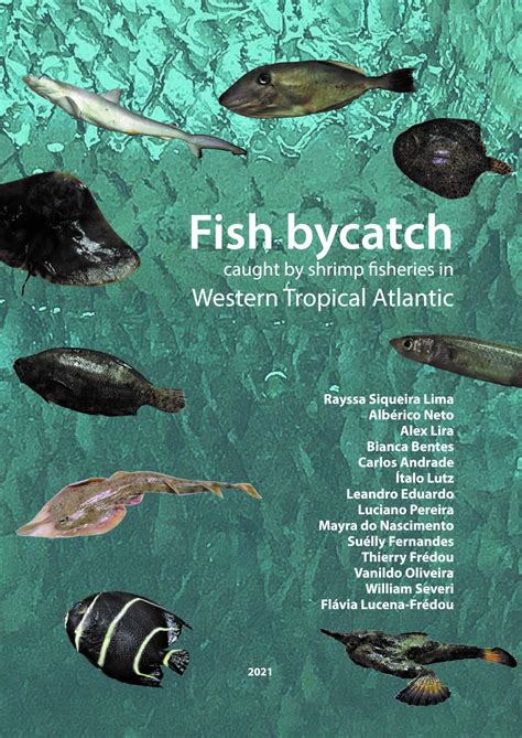 What Is A Bycatch