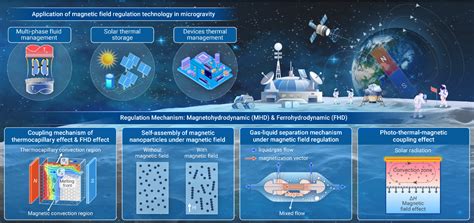 Image result for Module ASM WSW Sys
