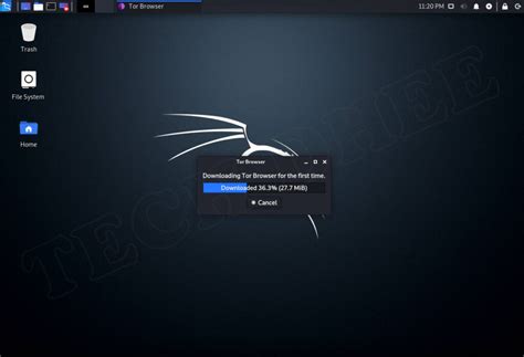 Kali Linux Download Tutorial 的图像结果