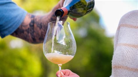 Choosing the Best Vegan Wine Subscription: A Complete Guide – Dry Farm ...