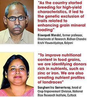 Silent famine: What exactly changed in India’s wheat and rice?