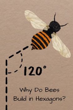 97 Science ideas in 2024 | science, teaching science, science classroom