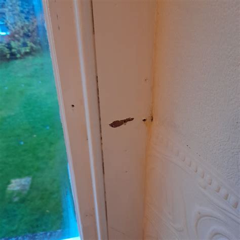 STRATHPEFFER HOTEL (Scotland) - Hotel Reviews, Photos, Rate Comparison ...