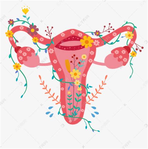 手绘卡通花卉女性生殖器系统素材图片免费下载-千库网