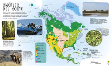 Mi primer atlas de animales (Children's Illustrated Animal Atlas) by DK ...