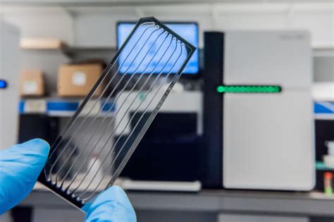 Next Generation Sequencing Introduction 的图像结果