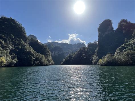 Avatar China 的图像结果