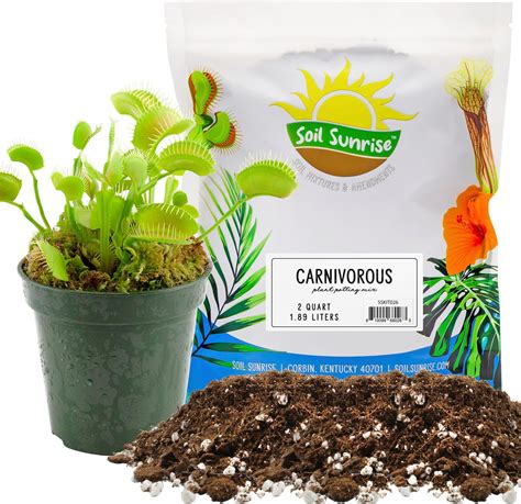 Amazon.com : Peace Lily Potting Soil Mix (2 Quarts), for Planting ...