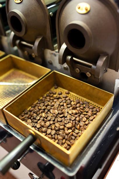 Image result for Coffee Taste Test