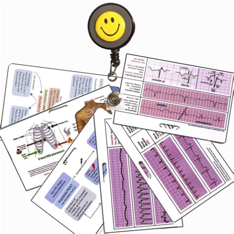 6 Set EKG Nurse Badge Reference Card & (Free PDF) - BLS, CPR, ACLS, 18 ...