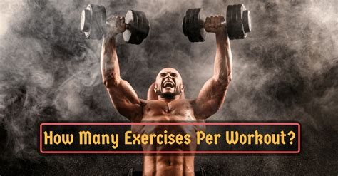 Image result for How Many Exercises per Workout
