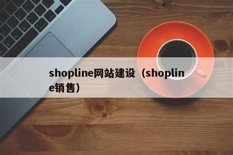 shopline网站建设（shopline销售）-维启网络